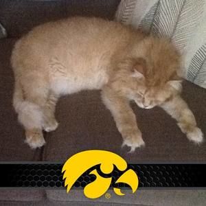 Meet your Posher, Martha